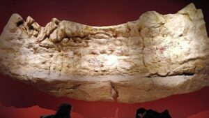 Museum Nasional Targetkan 780 Ribu Pengunjung di Tahun 2026