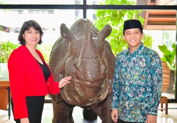 Proyek PECI Aceh: Model Konservasi Gajah Sumatera & Pembiayaan Lanskap